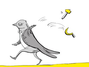 229558074_4137522139629031_7312609288585412550_n