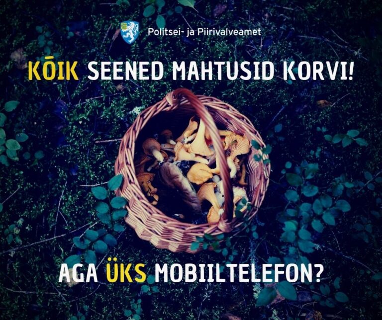 mobtel