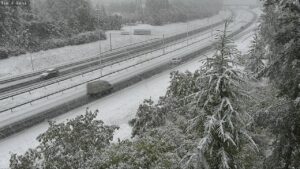 241969907_4310642539014092_787514994298617498_n