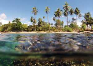 Screenshot 2021-10-08 at 18.07.47