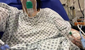 Screenshot 2021-10-19 at 17.34.35