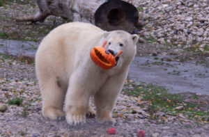 Screenshot 2021-10-27 at 09.42.33