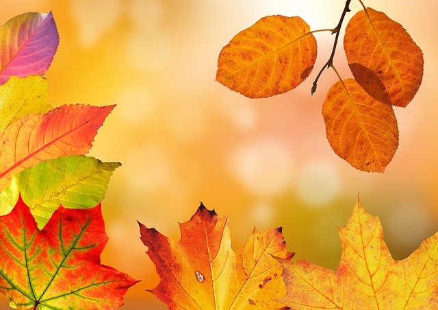 autumn-ge75f7ea81_640
