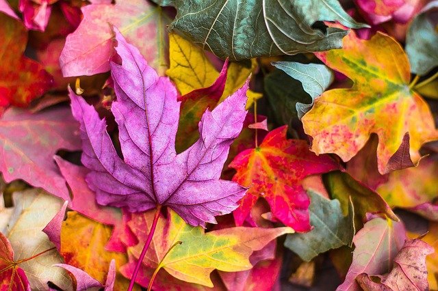 colorful-gb92ba4304_640