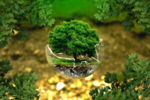environmental-protection-g0eea73660_640