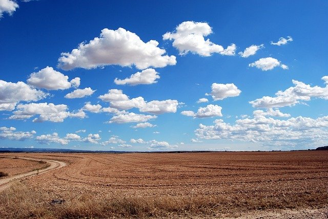 field-g5a59ca233_640