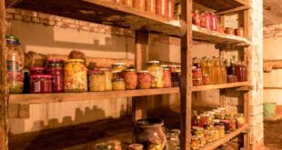 photography canned jars basement house different shapes wooden shelves various food autumn harvest time stocks 201528450