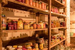 photography canned jars basement house different shapes wooden shelves various food autumn harvest time stocks 201528450