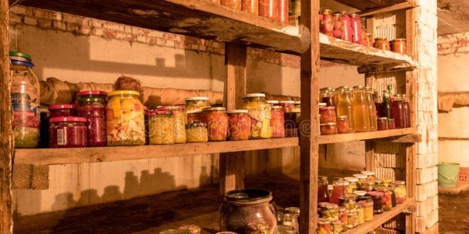 photography canned jars basement house different shapes wooden shelves various food autumn harvest time stocks 201528450