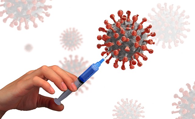 virus-g12cad3878_640
