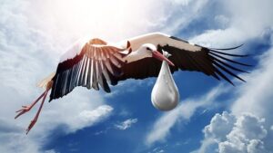 bird-g175d8d9d5_640