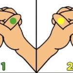 couple-g5623382d5_640