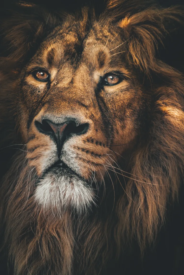 rob-potter-HZflGaOEzkI-unsplash