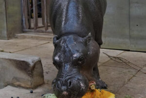 Screenshot 2021-12-11 at 18.27.32