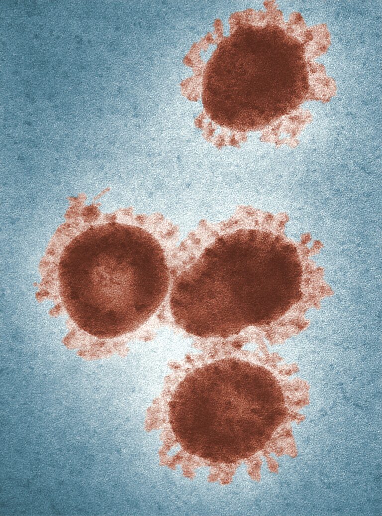 cdc-L0jLHqF7Q94-unsplash