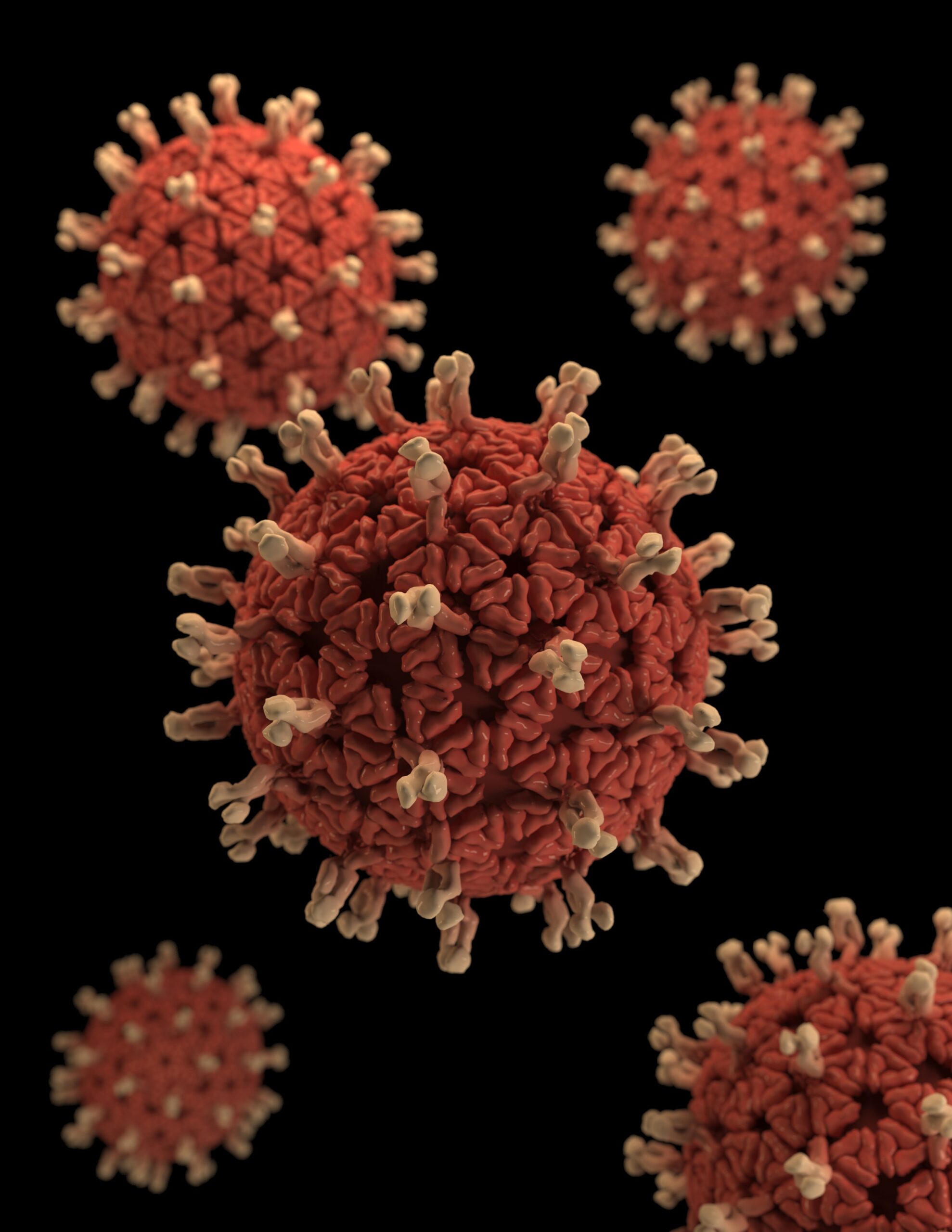 cdc-c4IBsSCuwIU-unsplash