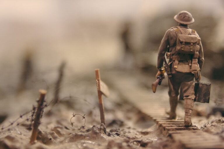 stijn-swinnen-qwe8TLRnG8k-unsplash