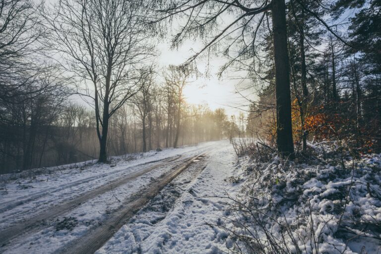 thom-holmes-F__8m0cS_vc-unsplash