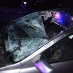 Altnurga õnnetus põdraga