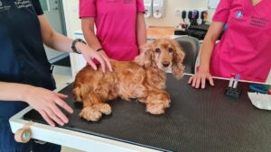 20220714_185107-1200x676