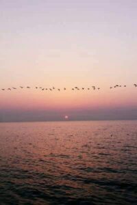 117765372_10224708546235699_5161250093103602641_n