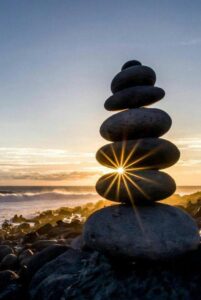 40044358_10216021004652589_8349648605061054464_n