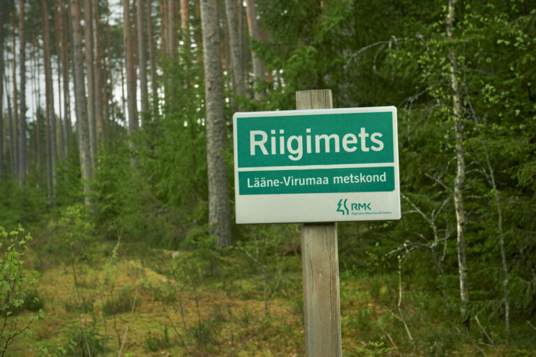 rmksilt_large