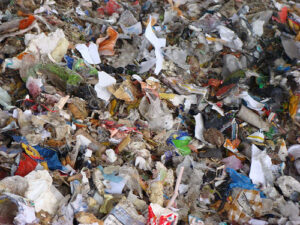 t2_5563974437_c988cb0f4a