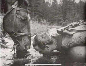 117904940_3338410962861191_3333558387362391633_n