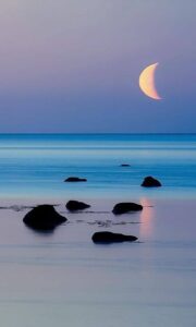 45507629_10219034419466076_31858748846768128_n