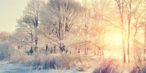 264702685_10227971218800474_2013131098617101621_n