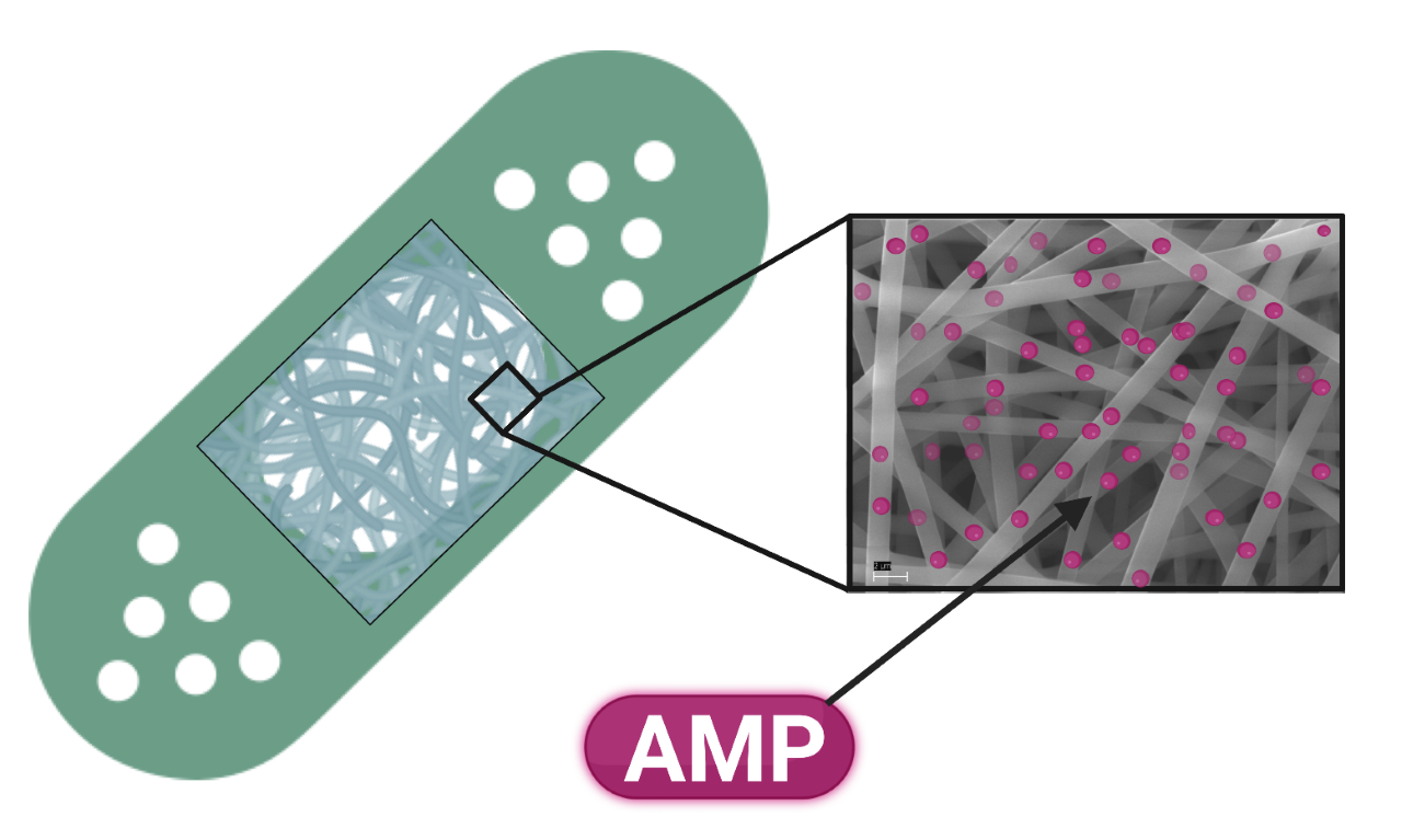 thumbnail AMP ES Wound Dressing Scheme B