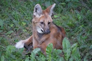 322615510_561938072467743_6203135376777406998_n