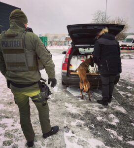 327340203_1329544681161313_3889475516531481792_n