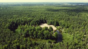 Nõmme-Harku Rõngasjärv 2022 vaade