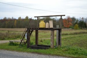 Piimapukk_Vardi-Nurme_teel