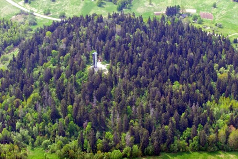 Suur_Munamägi_2014