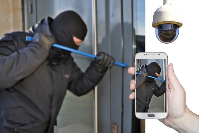 burglar-ge4c365af4_1920