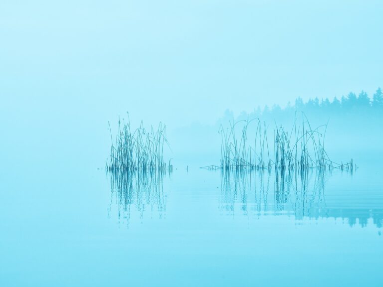 morning-g13cbf41ad_1920