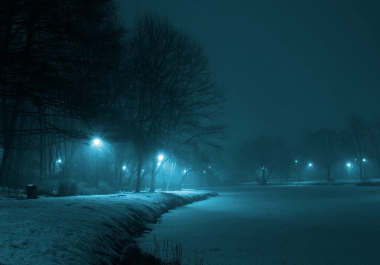 park-g9914970a3_1920