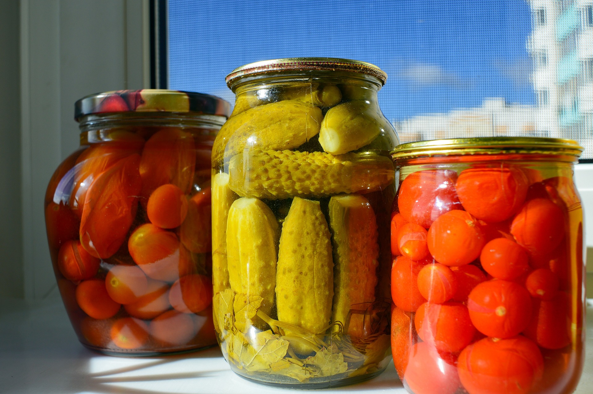 pickles 1799731 1920