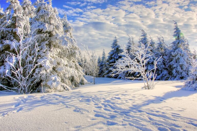 snow-g26f8541d9_1920