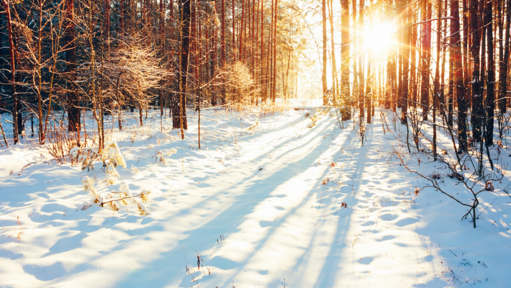 winter Facebook Cover