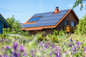 Veebiuudise pilt (2)