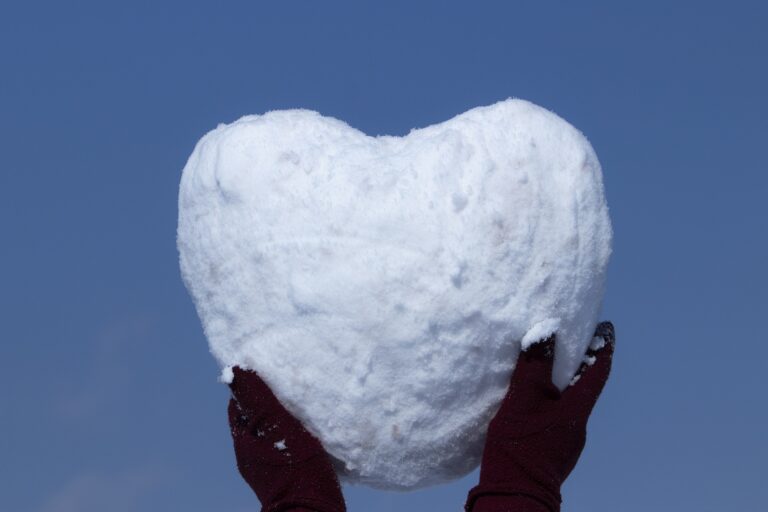 snow-g492e0da17_1920