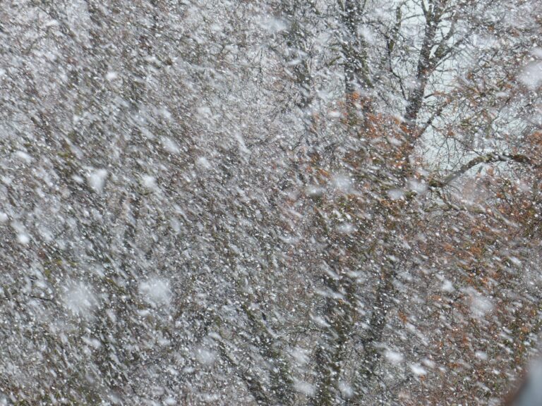 blizzard-91898_1920