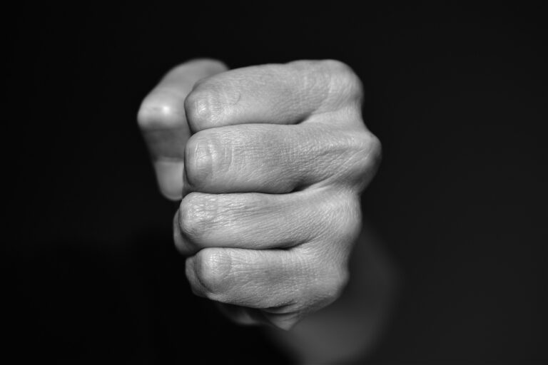 fist-g79dab0a3f_1920