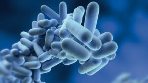 img-drinking-water-hygiene-legionella-microscopy-16-9
