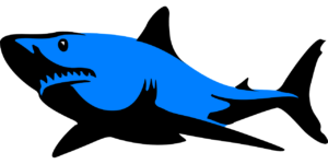 shark-305005_1280