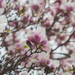 maria-JYKQIoSm-GM-unsplash